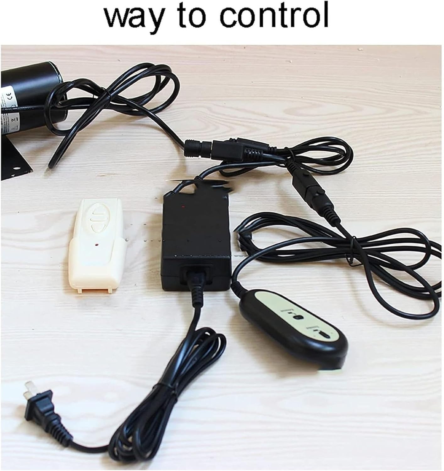 アガベ パルメリー 大株 シルバーブルー 良形 専用 アガベ パルメリー